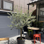 User's review image for paraiso