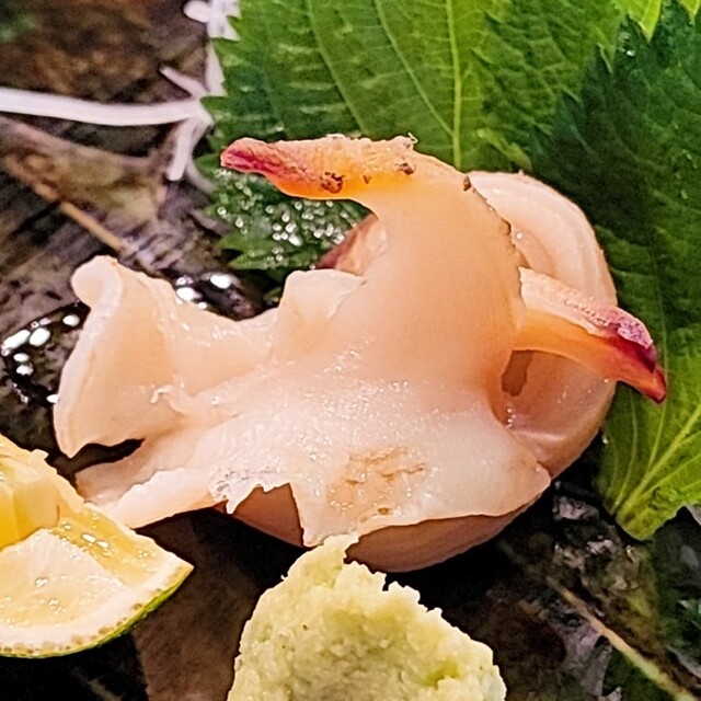 用戶對於鮨 まつざわ的評論高清圖