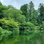 用戶對於森のカフェ的評論圖