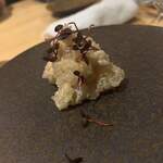 用户对于オステリア タッキーニ的评论图