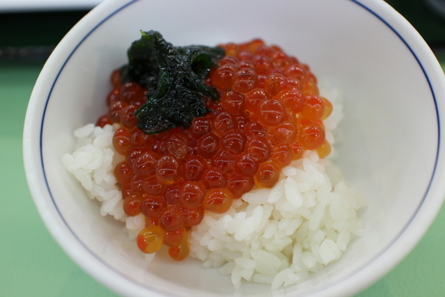 用戶對於ホテル知床的評論圖