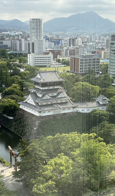 User's recommendation image for Ligare