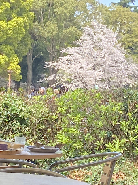 用戶對於EVERYONEs CAFE的評論圖