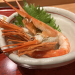 用户对于すし屋のさい藤的评论图