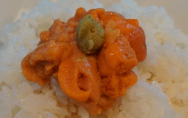 User's review image for ペンションうーにー