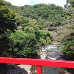 用戶對於不死王閣的評論圖