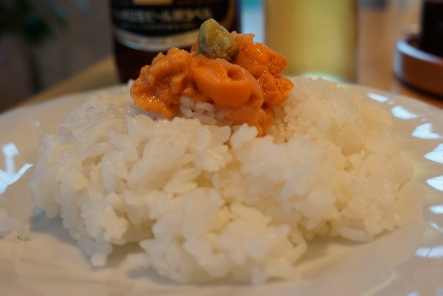 User's review image for ペンションうーにー
