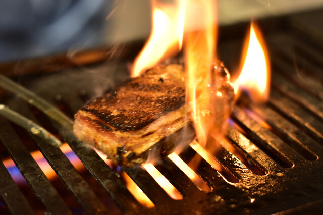User's recommendation image for 大正焼肉ホルモン K2+