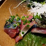 User's review image for 居酒屋ダイニング もり川
