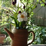 用戶對於山菜 日和・お茶々的評論圖