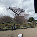 User's review image for 開花亭