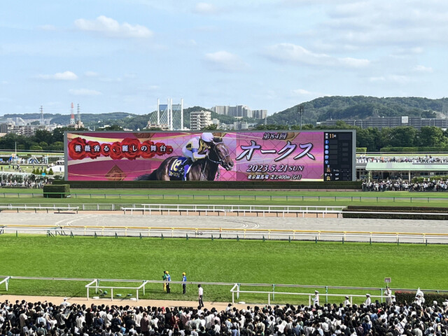 用户对于崎陽軒 エキュート立川店的评论高清图