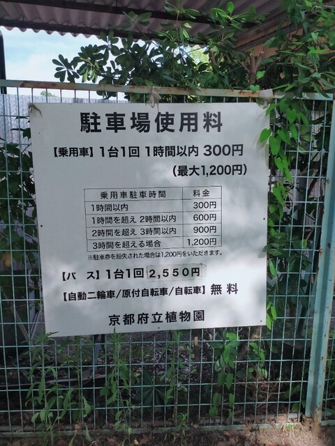 用戶對於森のカフェ的評論高清圖