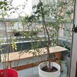 User's review image for CAF'E MID STAMP EBISU