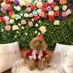 User's review image for guenin