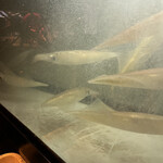 User's review image for たら福 大名店