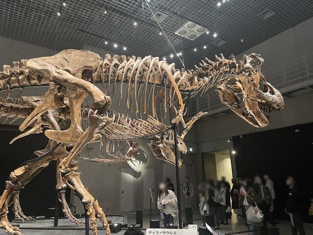 User's recommendation image for スーパーホテル 新橋・烏森口