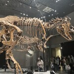 User's review image for スーパーホテル 新橋・烏森口