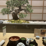 用户对于赤坂 富貴貫 Bizタワー店的评论图