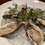 用戶對於シェルポ的評論圖