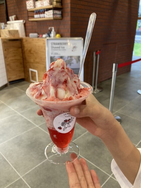 User's recommendation image for ICHIBIKO 北海道ボールパークFビレッジ店