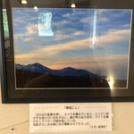 用户对于シットココ的评论图