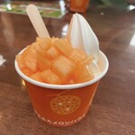 用户对于とみたメロンハウス的评论图