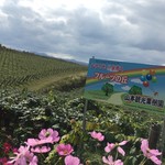 用戶對於ニトリ観光果樹園的評論圖