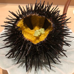 用户对于野じま的评论图