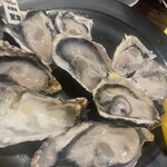 用户对于赤坂元気(仮)的评论图