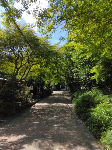 用户对于おぐら茶屋的评论高清图