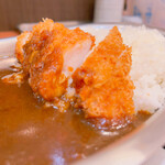 用户对于レッツゴーカレー アリオ札幌店的评论图