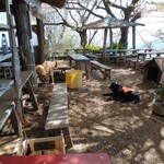 用户对于景信山頂上　景信茶屋　青木的评论图