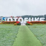 用戶對於六花亭 西３条店的評論圖
