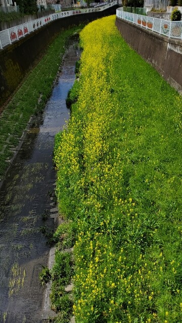 用戶對於焼肉釜山的評論高清圖