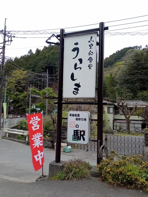 用户对于割烹うらしま的评论高清图