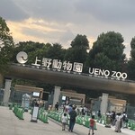 用户对于上野動物園 カフェカメレオン的评论图