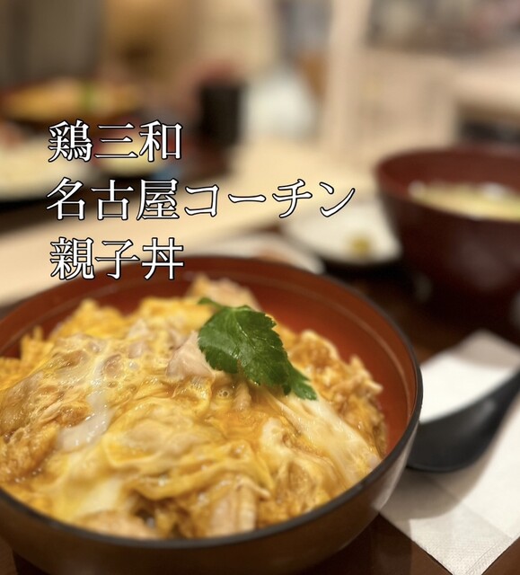 用戶對於鶏三和 八重洲地下街店的評論高清圖