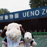 用户对于さるやまキッチン的评论图