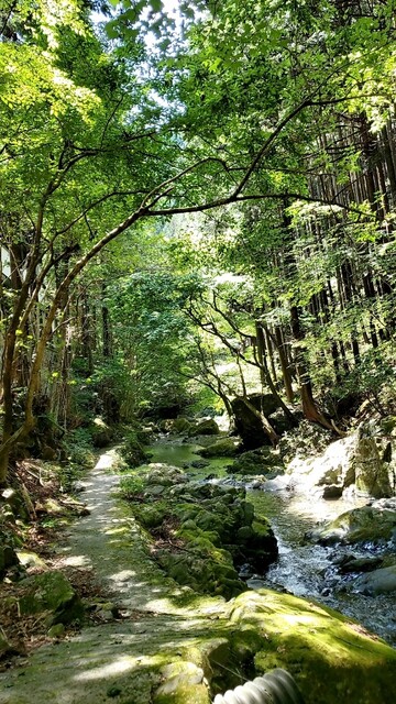 用户对于ちわき的评论高清图