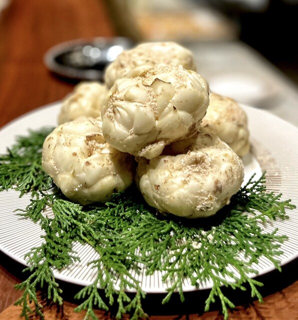 User's recommendation image for スガラボヴィー