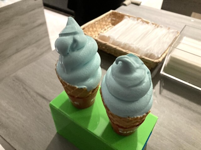 用戶對於SKY 40的評論高清圖