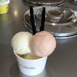User's review image for HiO ICE CREAM Atelier 自由が丘