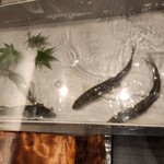 用戶對於三宅輝的評論圖