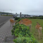 用戶對於みなとや的評論圖