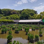 用戶對於うぐいす茶屋的評論圖