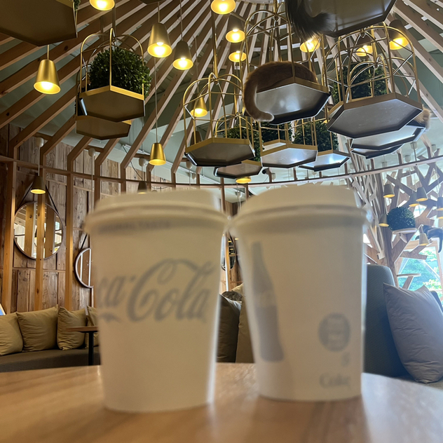 用戶對於猫カフェMOCHA 秋葉原店的評論高清圖