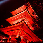 User's review image for 三木鶏卵