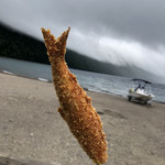 用户对于支笏湖観光センター的评论图