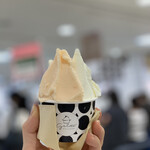 用户对于円山ジェラート No.24 HACO店的评论图